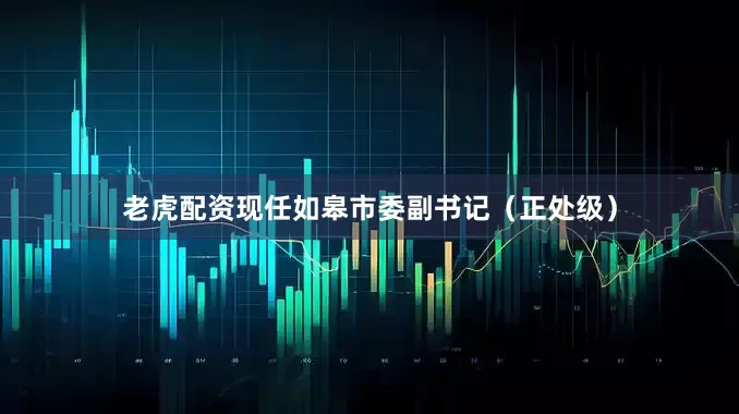 老虎配资现任如皋市委副书记（正处级）