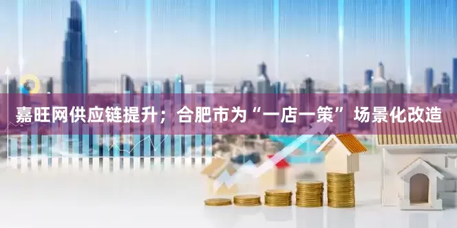 嘉旺网供应链提升；合肥市为“一店一策” 场景化改造