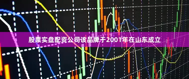 股票实盘配资公司该品牌于2001年在山东成立