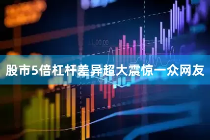 股市5倍杠杆差异超大震惊一众网友