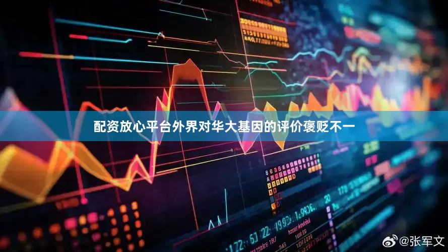 配资放心平台外界对华大基因的评价褒贬不一