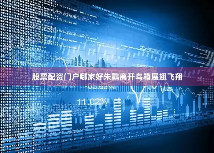 股票配资门户哪家好朱鹮离开鸟箱展翅飞翔