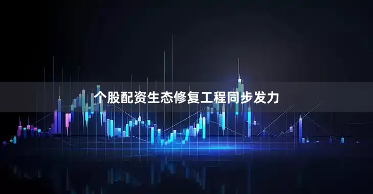 个股配资生态修复工程同步发力