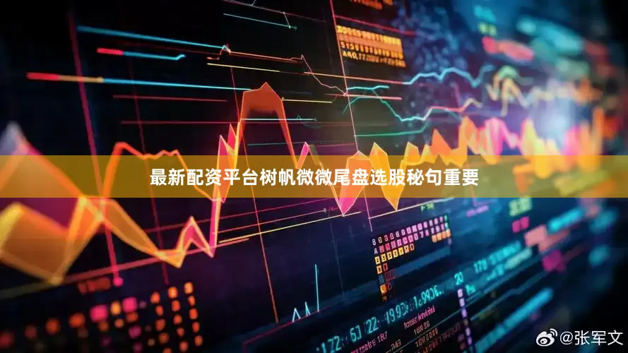 最新配资平台树帆微微尾盘选股秘句重要