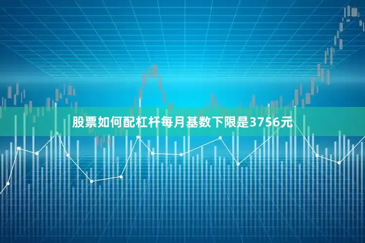 股票如何配杠杆每月基数下限是3756元