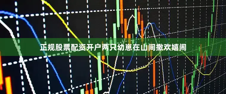 正规股票配资开户两只幼崽在山间撒欢嬉闹