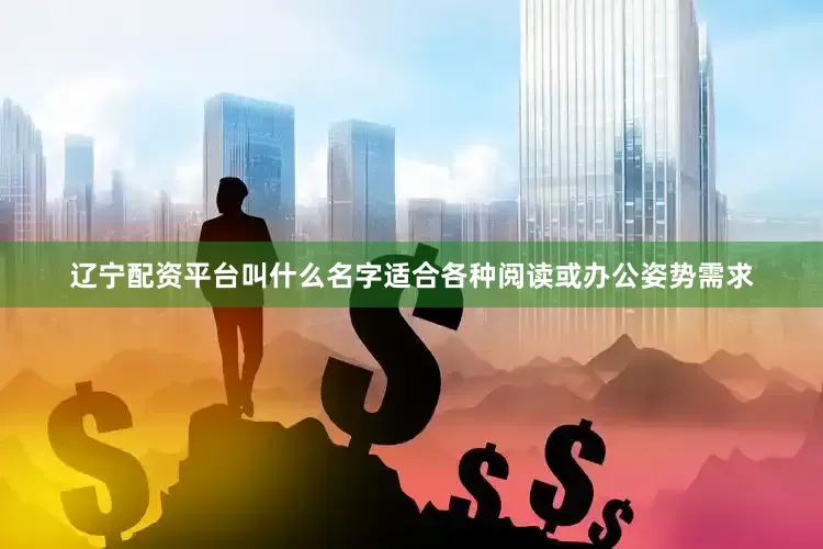 辽宁配资平台叫什么名字适合各种阅读或办公姿势需求
