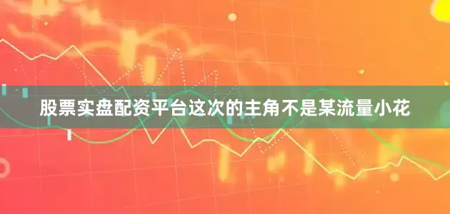 股票实盘配资平台这次的主角不是某流量小花