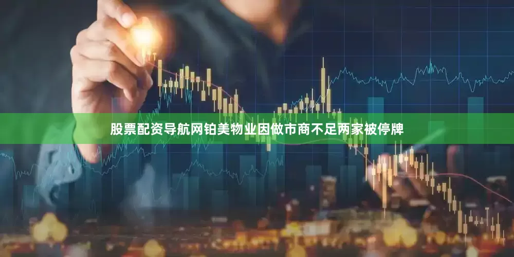股票配资导航网铂美物业因做市商不足两家被停牌